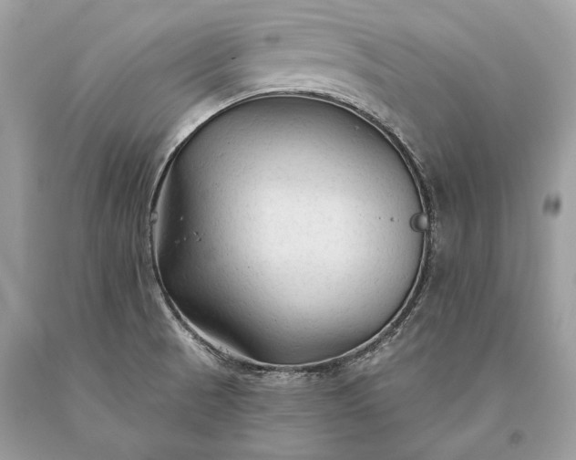 X0000093471521200710261032