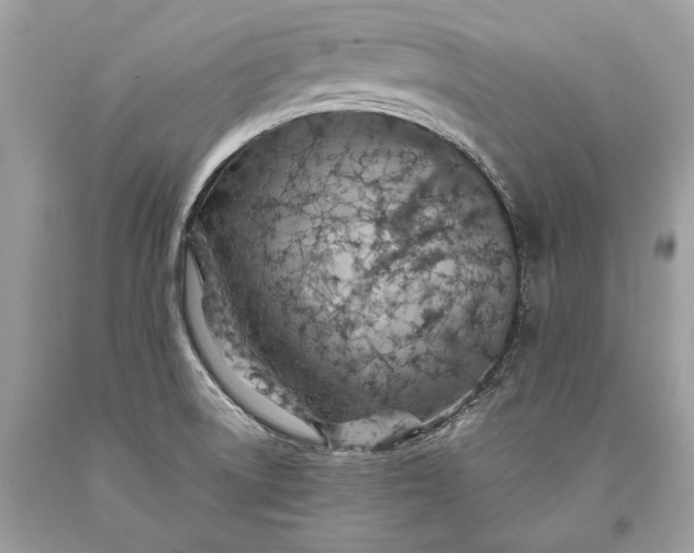 X0000093471522200710261032