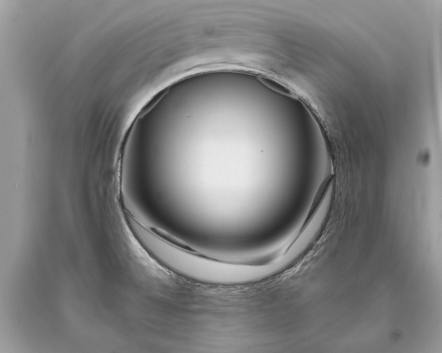 X0000093471524200710261032