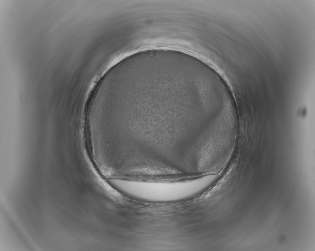 X0000093471525200710261032