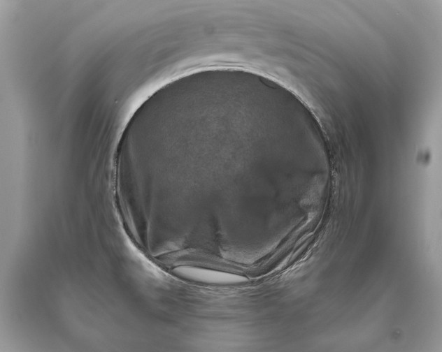 X0000093471527200710261032