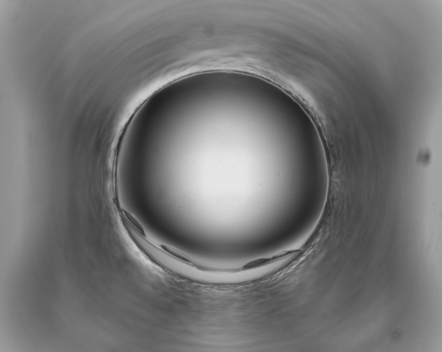 X0000093471528200710261032