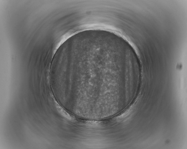 X0000093471529200710261032