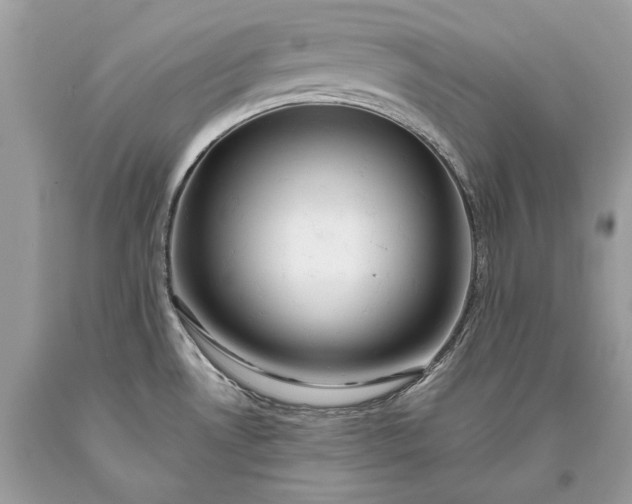 X0000093471530200710261032