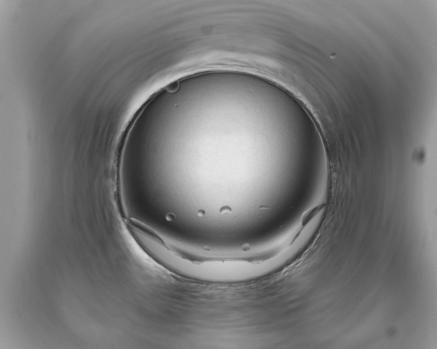 X0000093471531200710261032