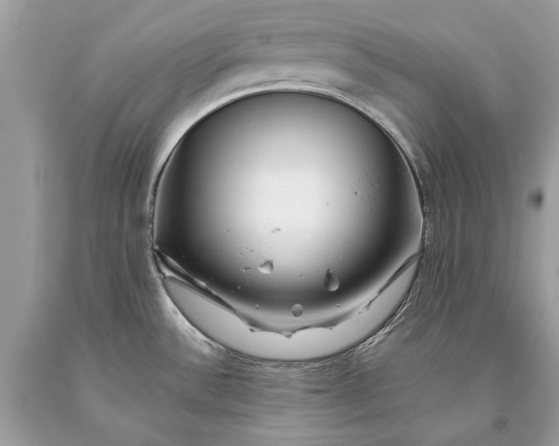 X0000093471532200710261032