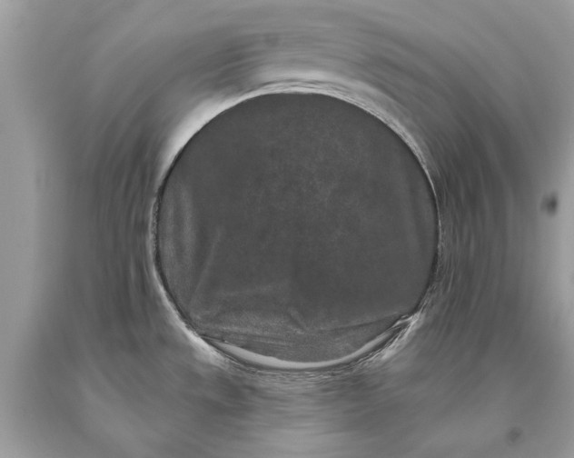 X0000093471533200710261032