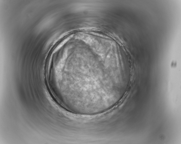 X0000093470002200711021244