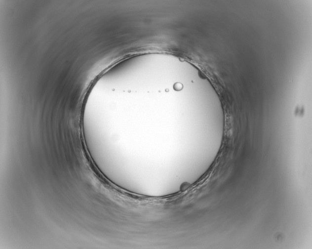 X0000093470004200711021244