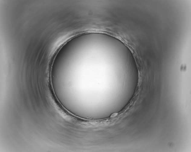 X0000093470005200711021244