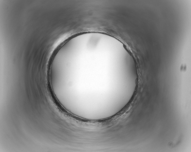 X0000093470008200711021243