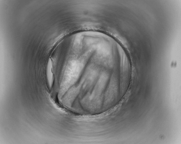 X0000093470009200711021243