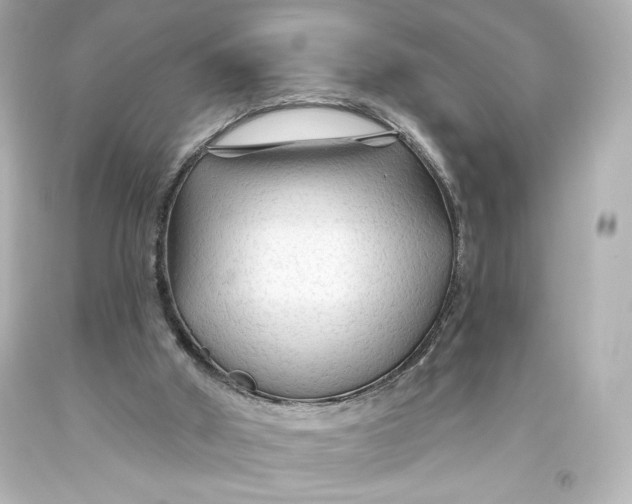 X0000093470010200711021243