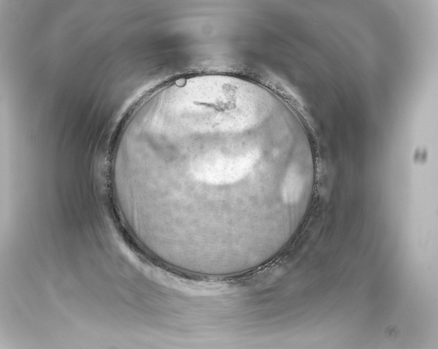 X0000093470012200711021243