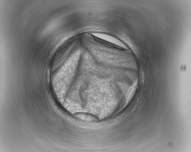 X0000093470014200711021243