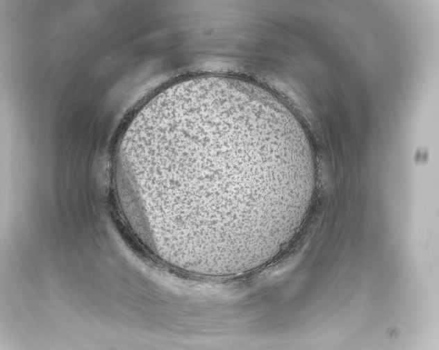 X0000093470016200711021243