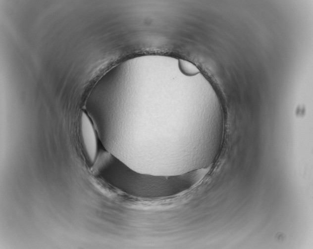 X0000093470017200711021243