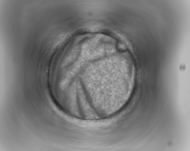 X0000093470018200711021243