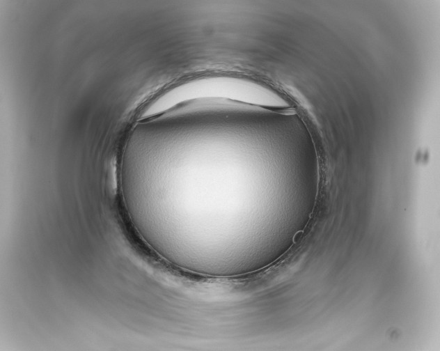 X0000093470020200711021243