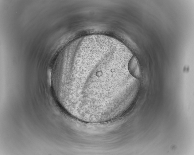 X0000093470022200711021243