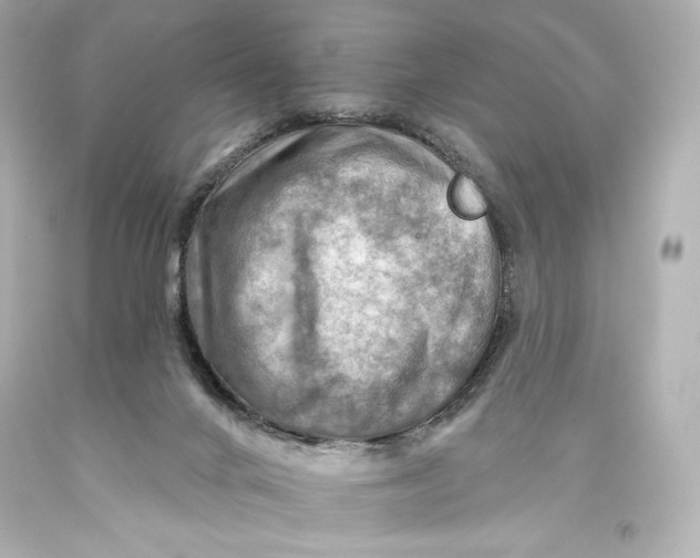 X0000093470024200711021243