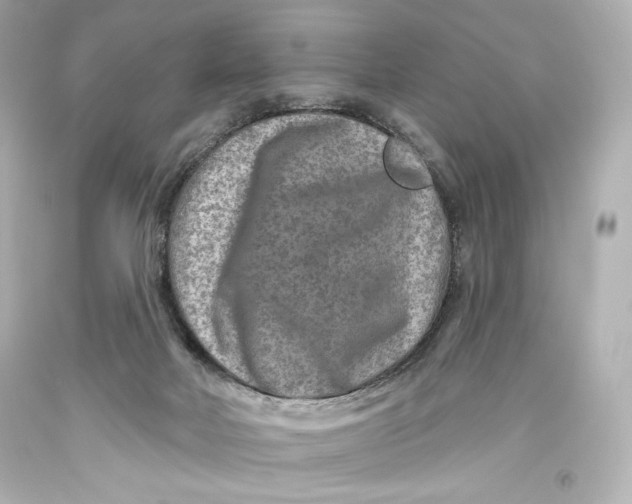 X0000093470026200711021243