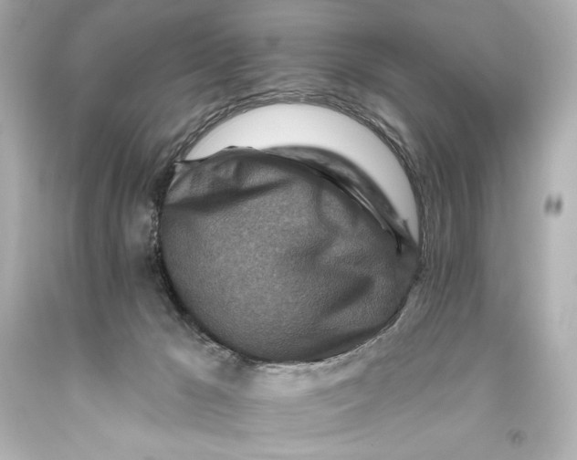 X0000093470029200711021243