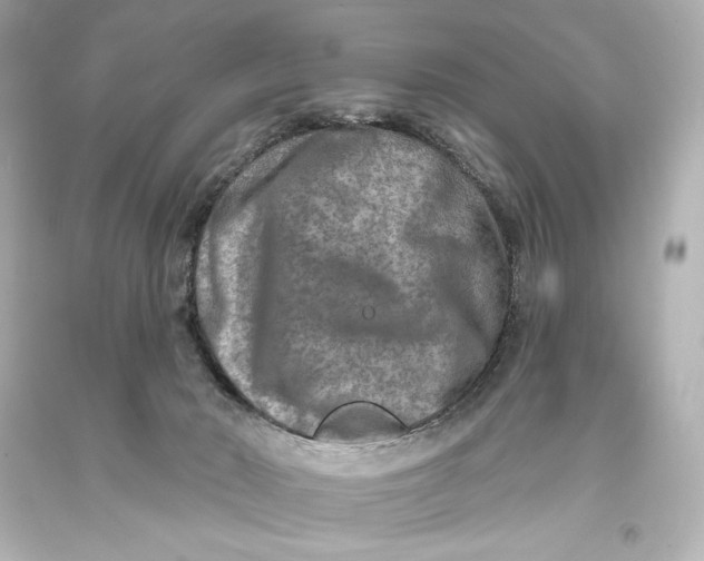 X0000093470030200711021243