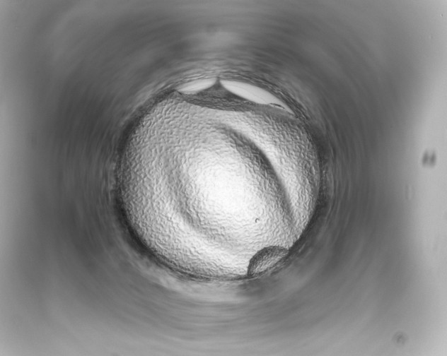 X0000093470032200711021243