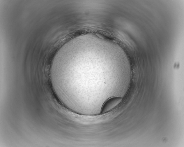 X0000093470034200711021243