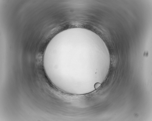 X0000093470036200711021243