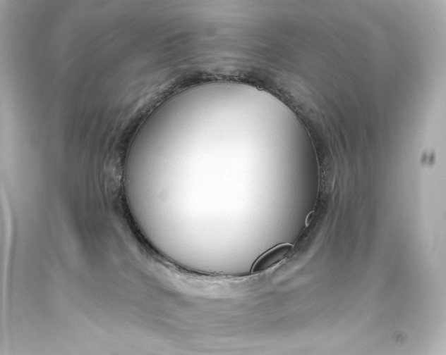 X0000093470040200711021243