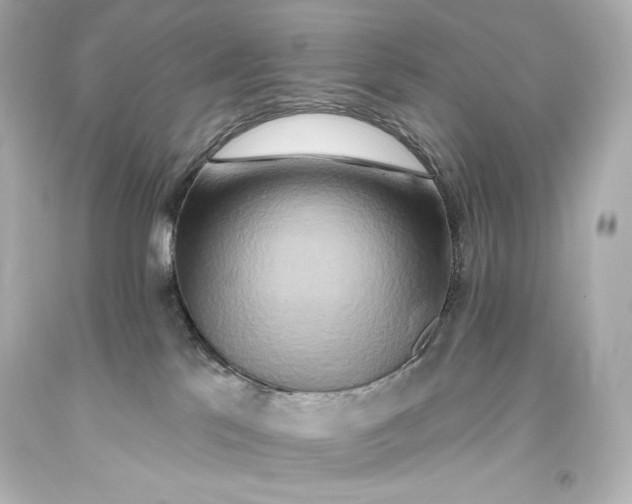 X0000093470041200711021243