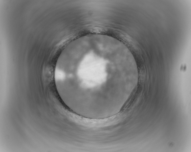 X0000093470043200711021243