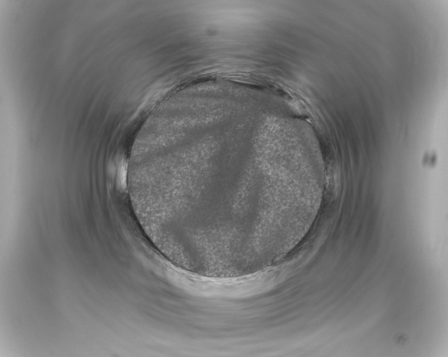 X0000093470046200711021243