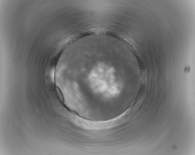 X0000093470047200711021243