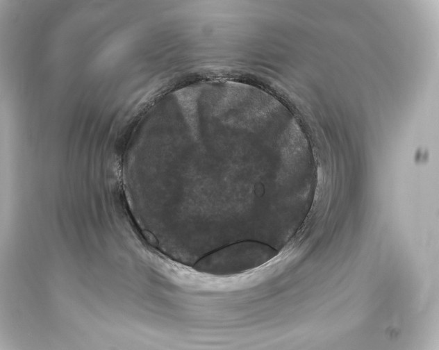 X0000093470048200711021243