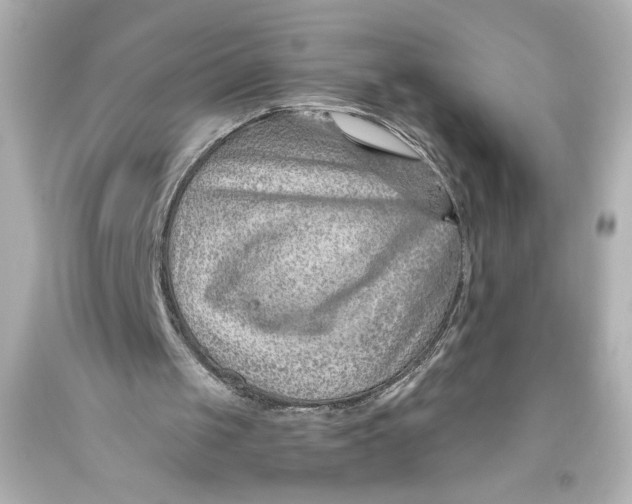 X0000093470049200711021242