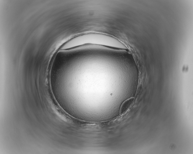 X0000093470050200711021242