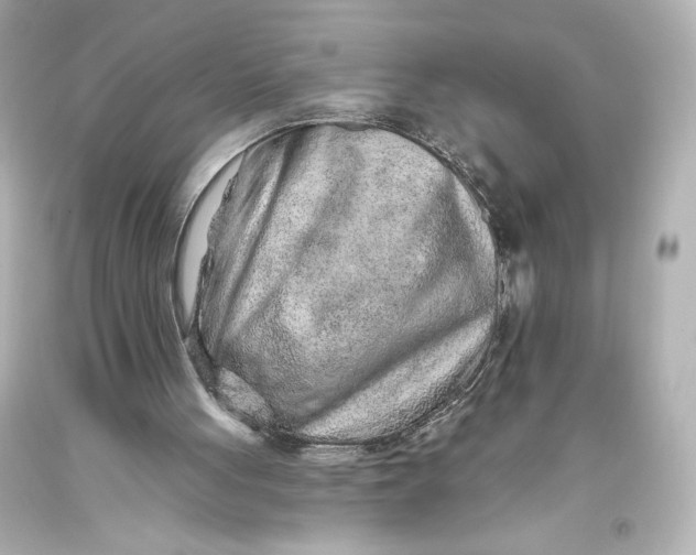 X0000093470051200711021242