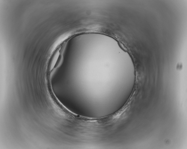 X0000093470054200711021242