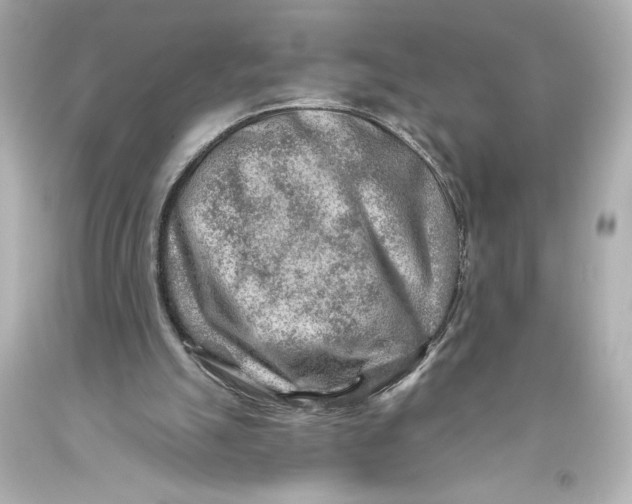 X0000093470055200711021242