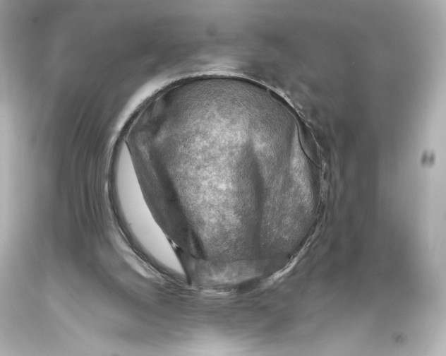 X0000093470056200711021242