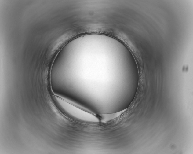 X0000093470058200711021242