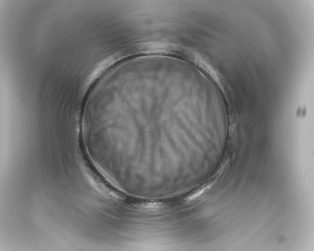 X0000093470059200711021242