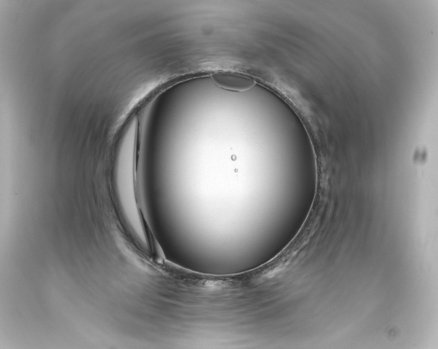 X0000093470060200711021242