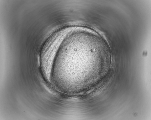 X0000093470061200711021242