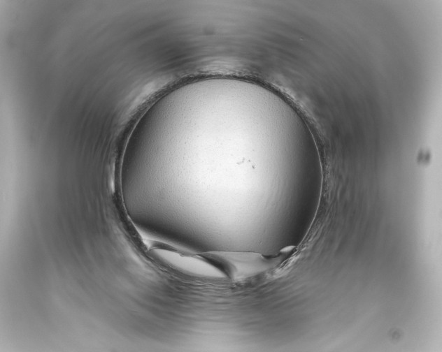 X0000093470062200711021242