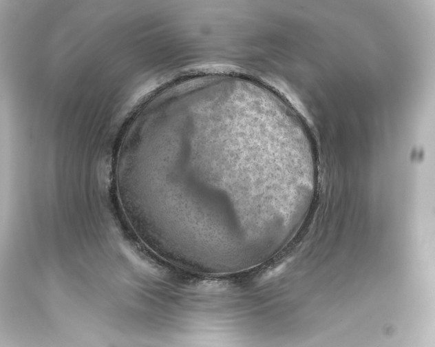 X0000093470063200711021242