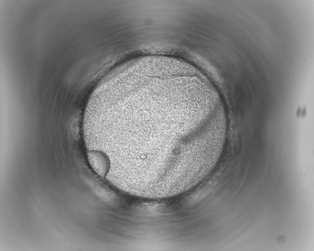 X0000093470065200711021242